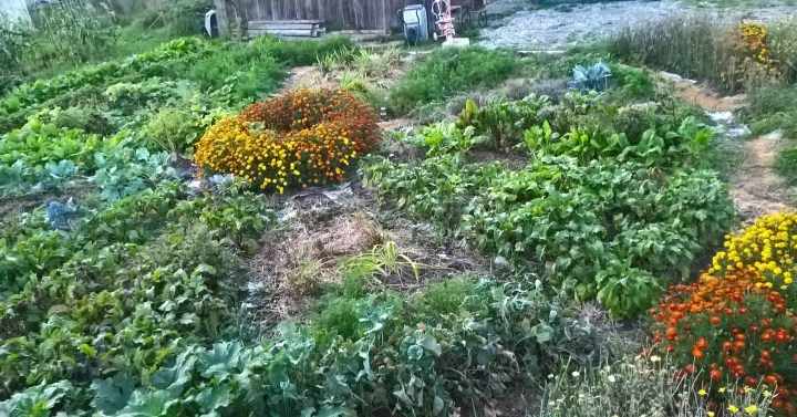 WP_20180827_20_23_12_Pro (2)