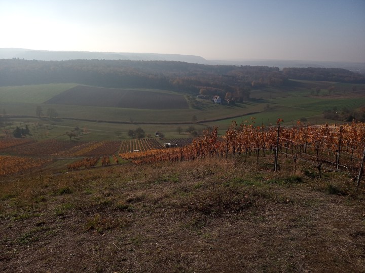 IMG_20181116_105805 (1)